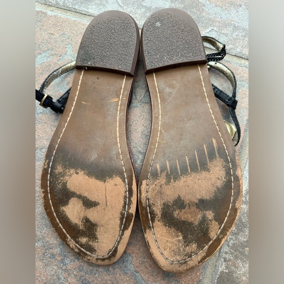 Sam Edelman Gigi Black Croc Sandal - Picture 4 of 5